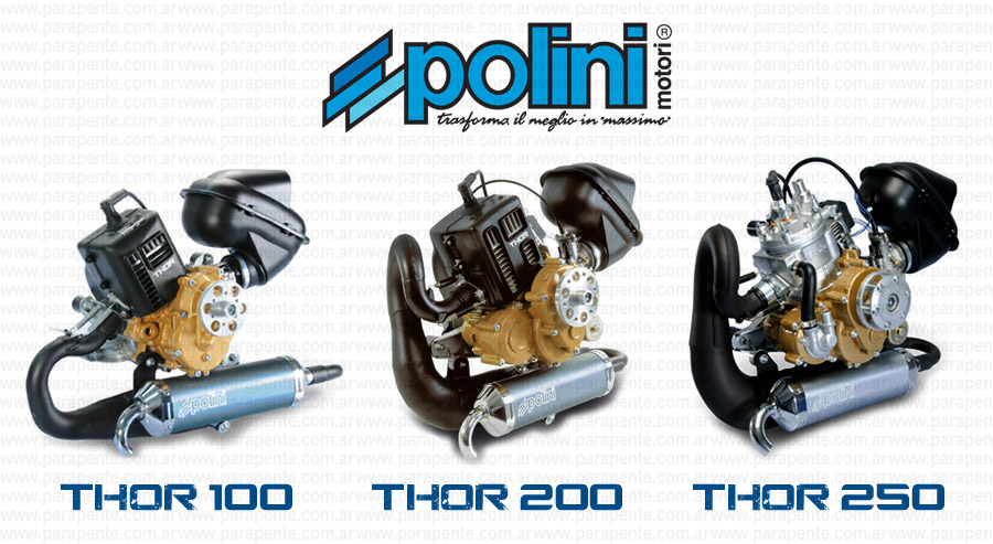 Motores Polini THOR 100, 200 y 250